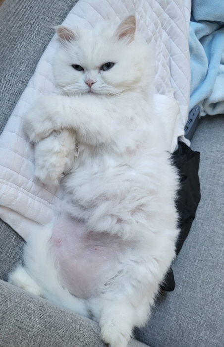 포맷변환_일괄편집_7.jpg