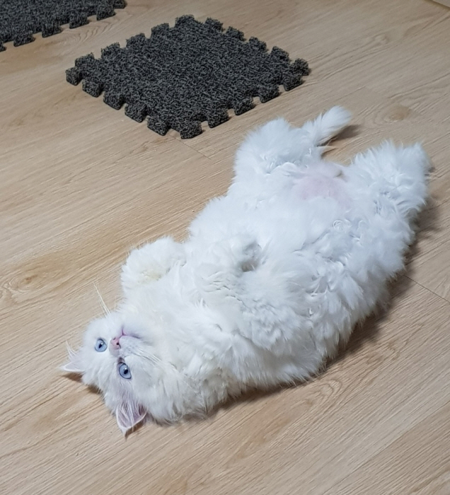 포맷변환_일괄편집_9.jpg