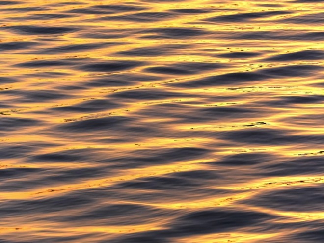 일괄편집_cut ks-kyung-on3FijY-H0E-unsplash.jpg