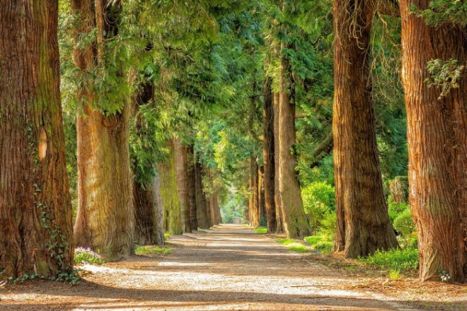 [크기변환].avenue-gaa2574871_1280.jpg