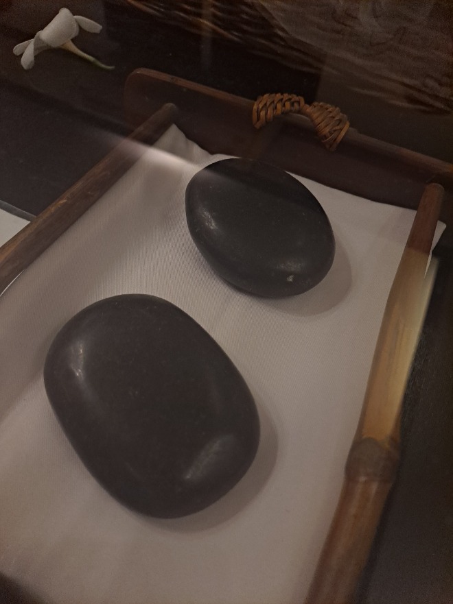 KakaoTalk_20230614_163914759.jpg