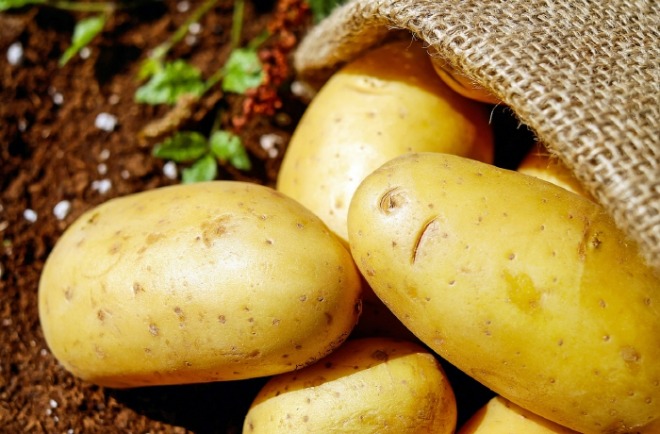 [크기변환] potatoes-g8a0ddc411_1280.jpg