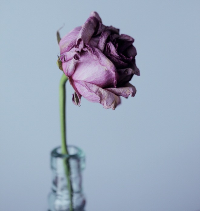 [꾸미기][크기변환]alexander-grey-GqPhbmoLUIs-unsplash.jpg