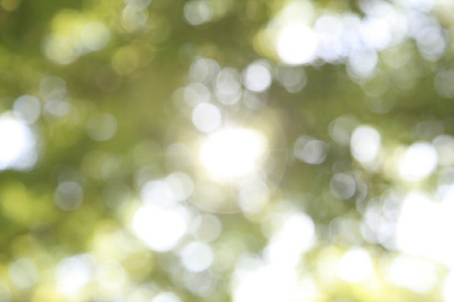 [크기변환]light-g713c4e6e9_1280.jpg