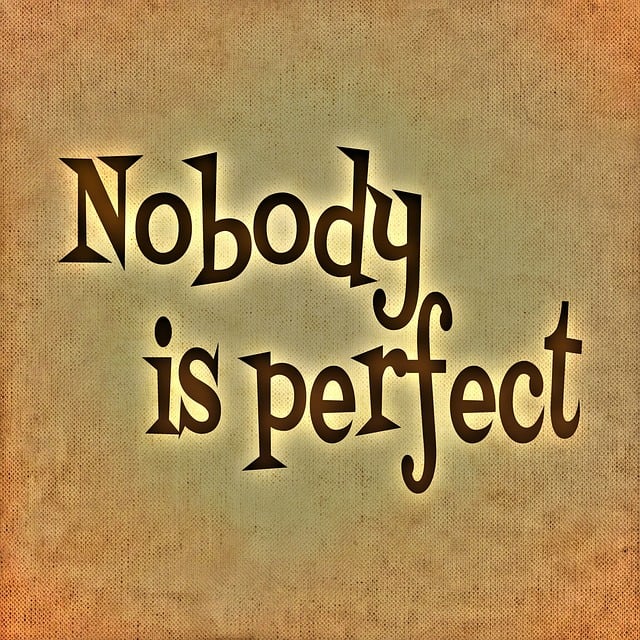 nobody-is-perfect-688370_640.jpg