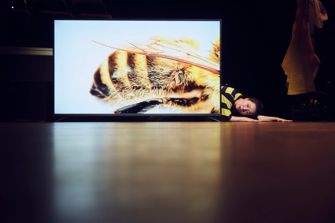 [B BE BEE] 공연사진 (4).jpg
