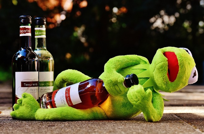 kermit-1651615_1280.jpg