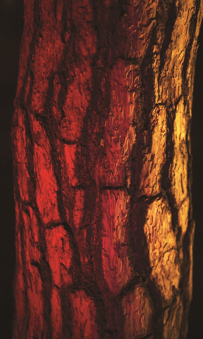 pine tree 2020 no08 97 x 162 cm.jpg