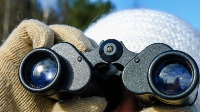 binoculars-7909711_1280.jpg