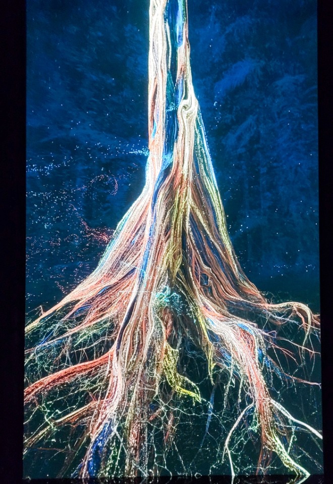 20230904-20230904_120856.jpg