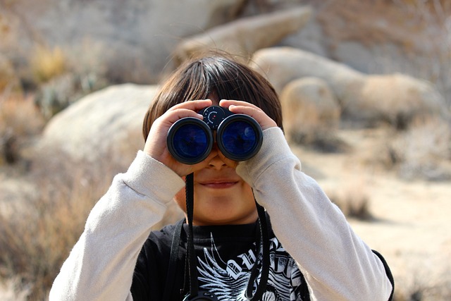 binoculars-100590_640.jpg