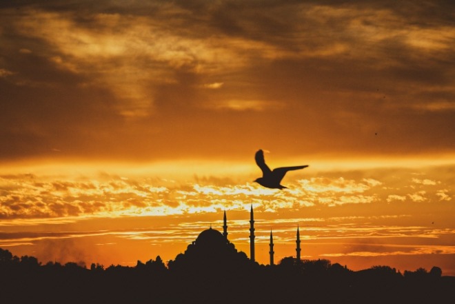 [크기변환]sahin-sezer-dincer-qfqnxb1e6-k-unsplash.jpg