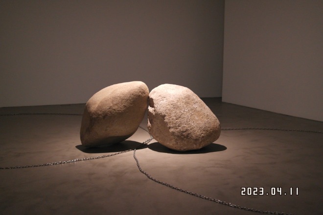 SAM_0947.JPG