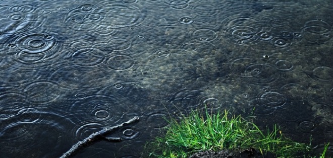[크기변환]rain-2362871_1280.jpg