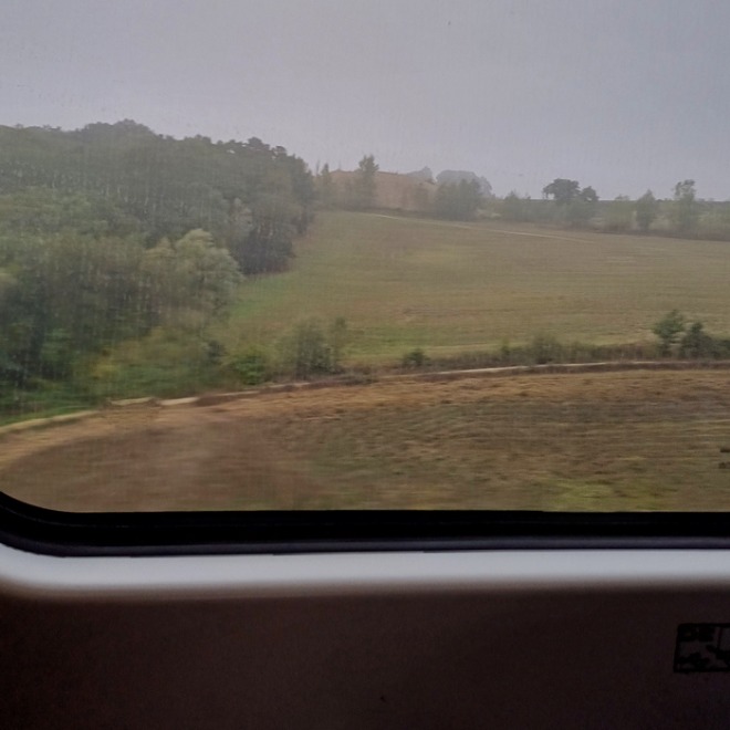 TRAIN.jpg
