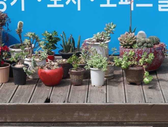 최선best.JPG