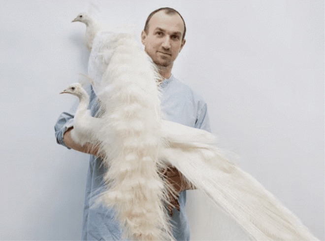 [포맷변환][크기변환]Tim-Walker.jpg