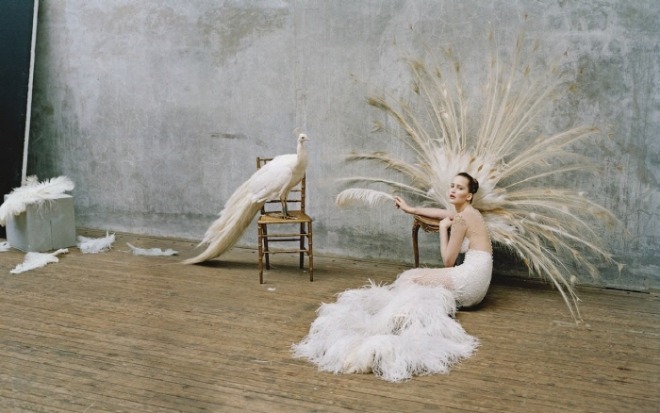 [포맷변환][크기변환]Tim-Walker-1-1.jpg