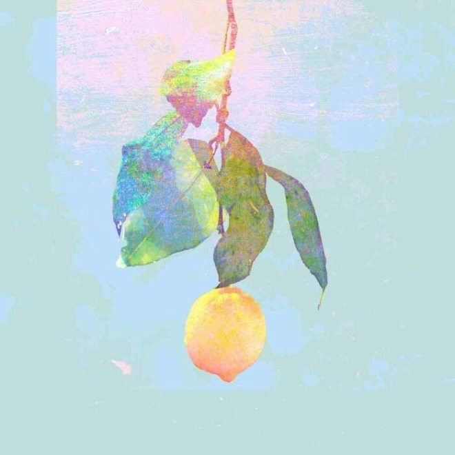 레몬 (1).jpg