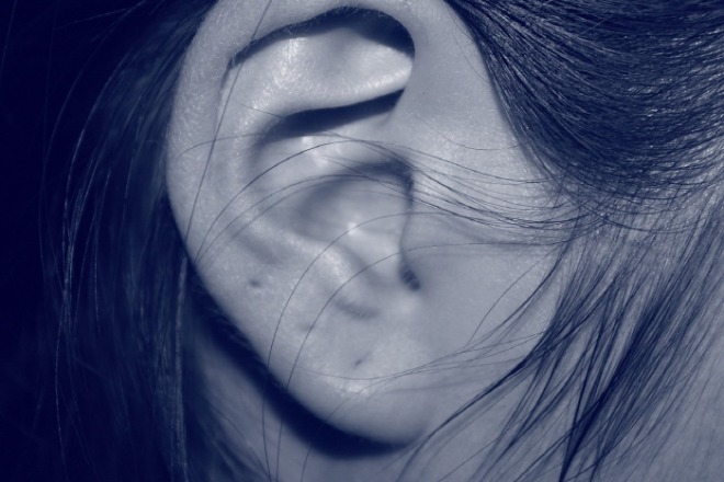 [크기변환]ear-207405_1280.jpg
