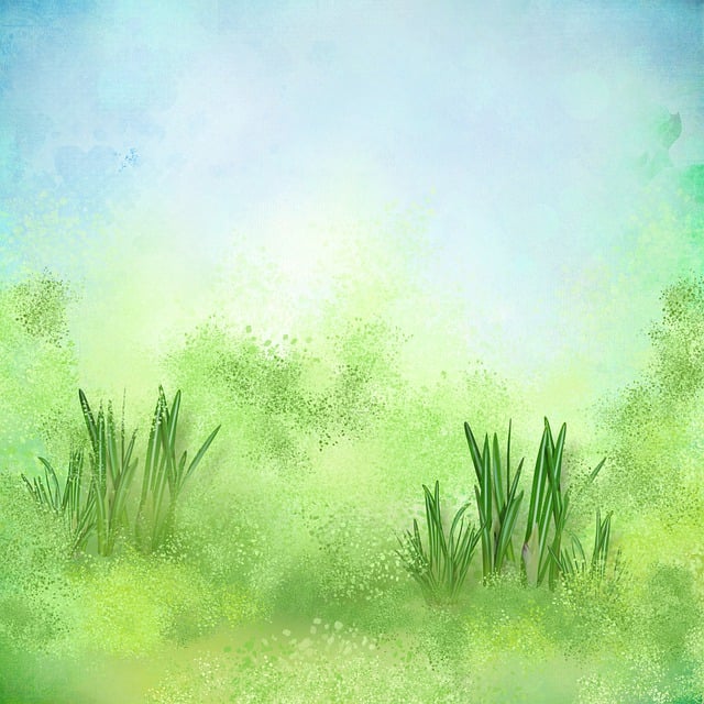 paper-4987885_640.jpg