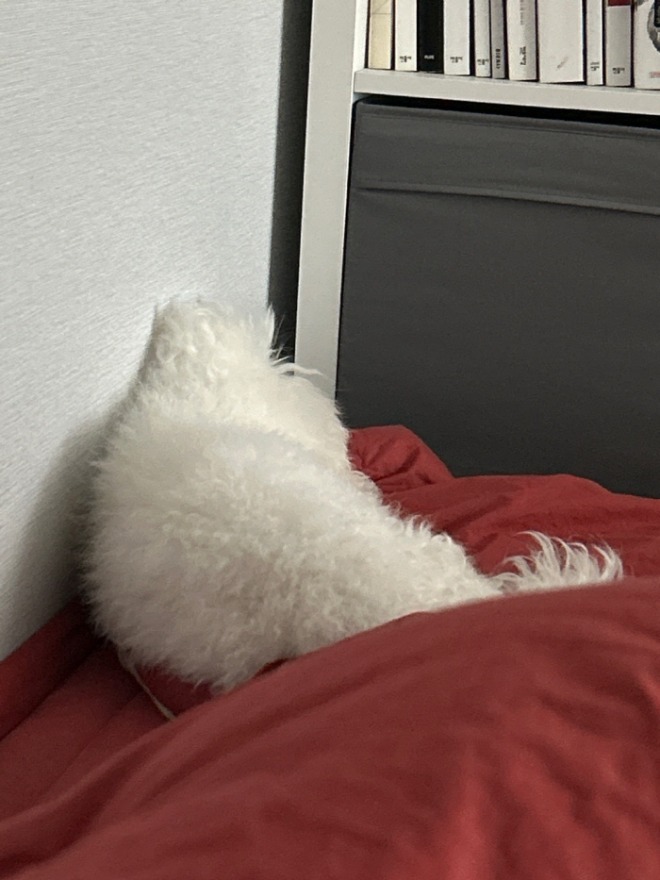 [크기변환]본문 자는모습.jpg