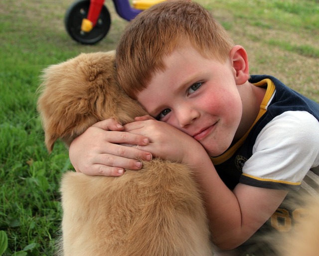 puppy-2197314_640.jpg