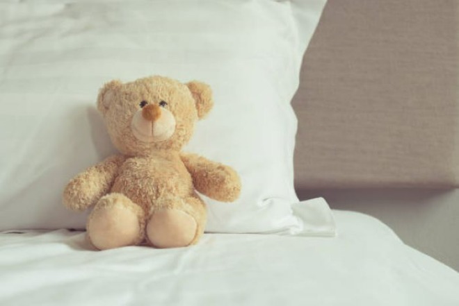 teddy bear.jpg