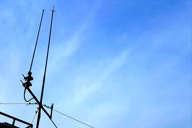 3537711208_haMgruRk_KakaoTalk_20240127_102511272.jpg