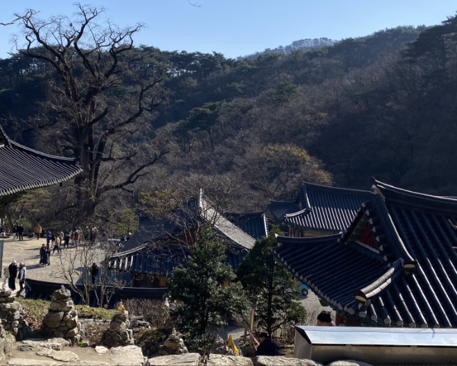 KakaoTalk_20240130_013419090_05.jpg
