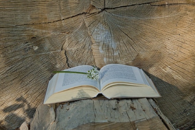 [크기변환]book-5130712_1280.jpg