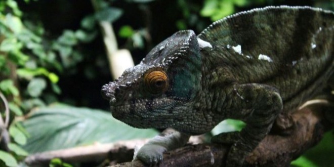 nikola-bacanek-soM0ByYI-A4-unsplash.jpg