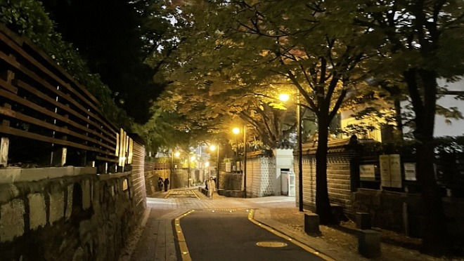 [꾸미기][크기변환]밤길.jpg