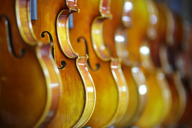 violin-4396455_1280.jpg