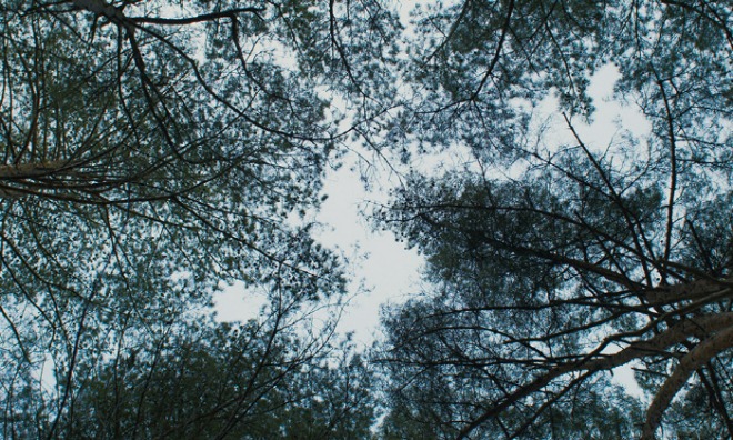 01.jpg