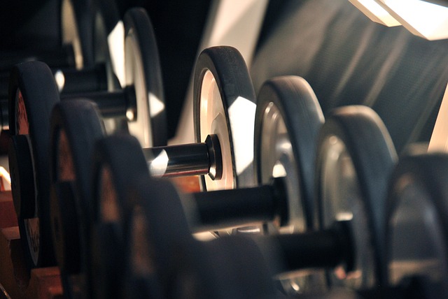 gym-546138_640.jpg