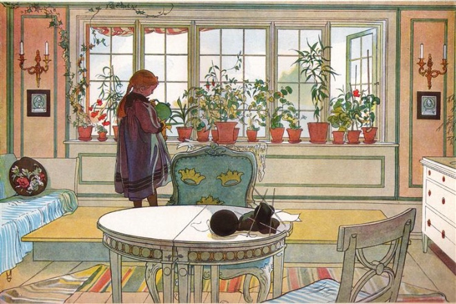 flowers-on-the-windowsill-1894(1).jpg!Large.jpg