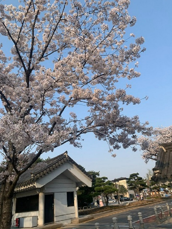 ㅎㅎㅎㅎㅎㅎ.jpg