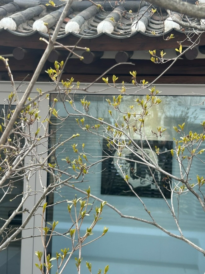 [회전]20240519213807_hhkzscie.jpg