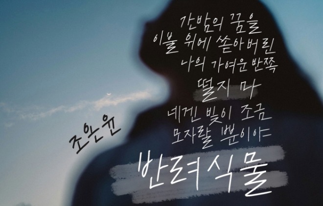 [썸네일]반려식물.jpg