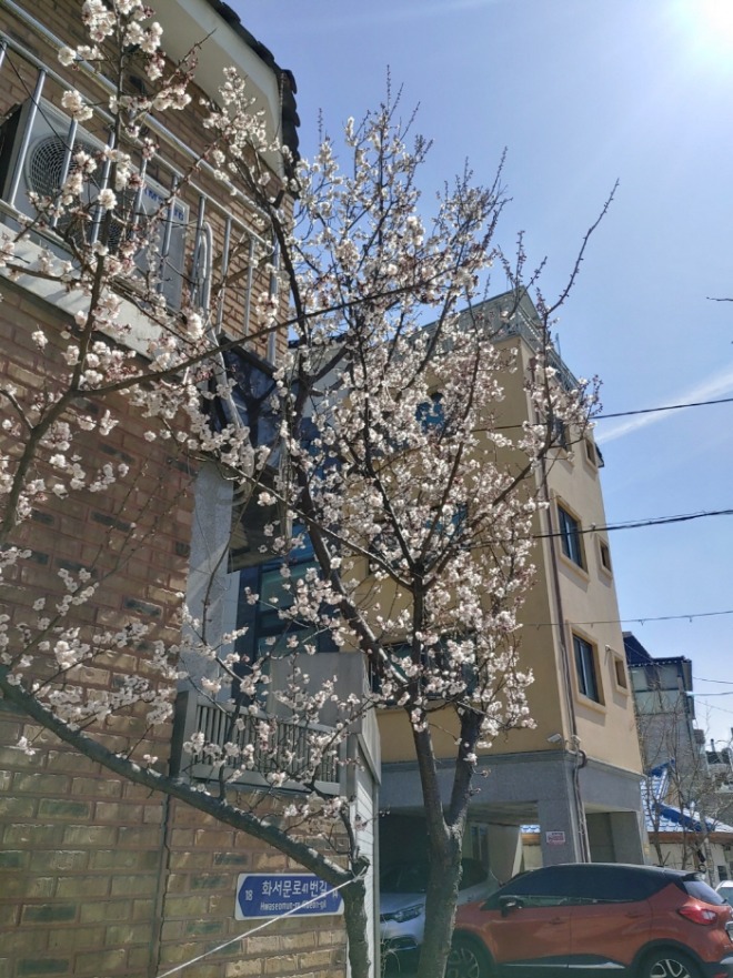 [크기변환]KakaoTalk_20240526_140837900_04.jpg