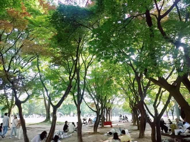 [크기변환]KakaoTalk_20240526_140837900_01.jpg