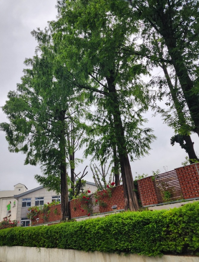 [크기변환]KakaoTalk_20240629_184907240.jpg