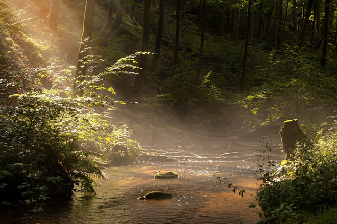 fall-8192375_1280.png