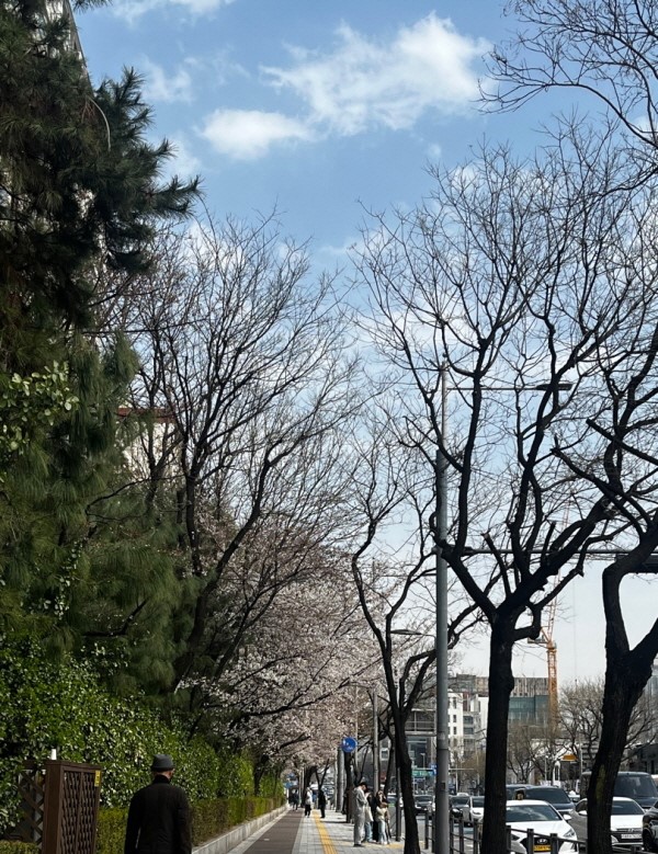 [크기변환]압구정.jpg
