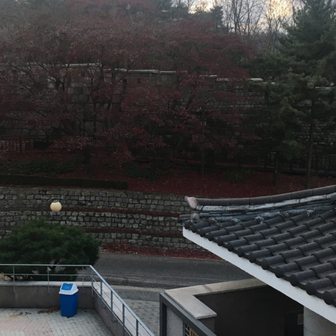 [크기변환][포맷변환]IMG_9155.png