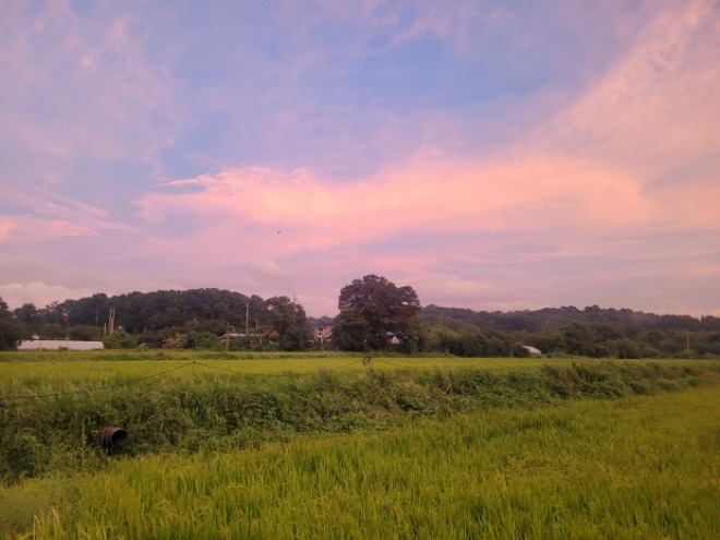 KakaoTalk_20241022_211047277.jpg