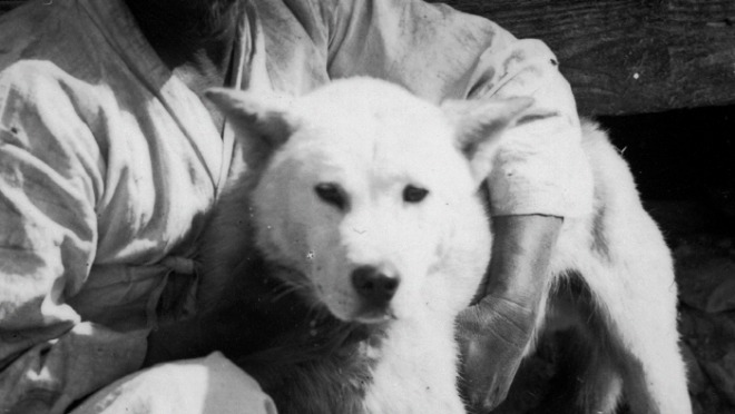 [크기변환][포맷변환]★_sill_LoveDeathDog_18min_main.jpg의-사본.jpg