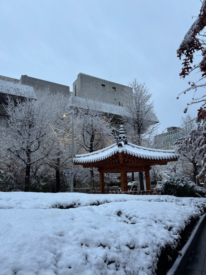 IMG_1807.jpeg