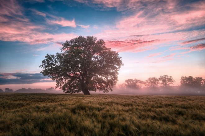[크기변환]field-6574455_1280.jpg